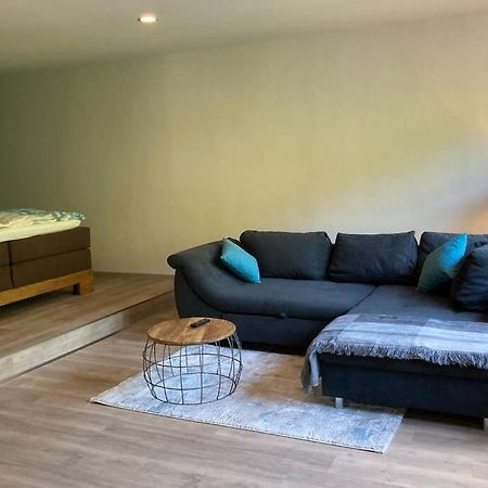 Apartmán Dinkel Haus An Der Mosel Traben-Trarbach Exteriér fotografie